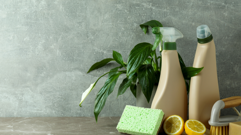 eco friendly cleaning products for business