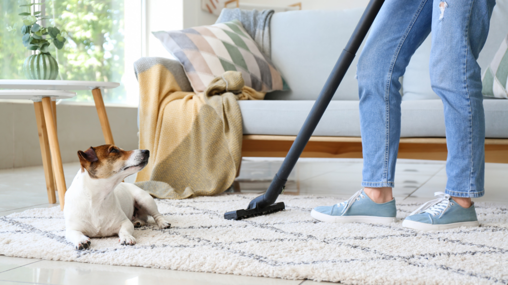 a dirty guide to a clean home